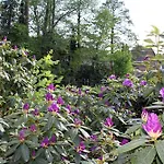 Haus Am Moorbeek * Eimke