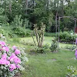 Haus Am Moorbeek Holiday home