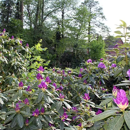 Haus Am Moorbeek * Eimke