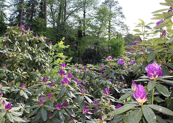 Haus Am Moorbeek * Eimke